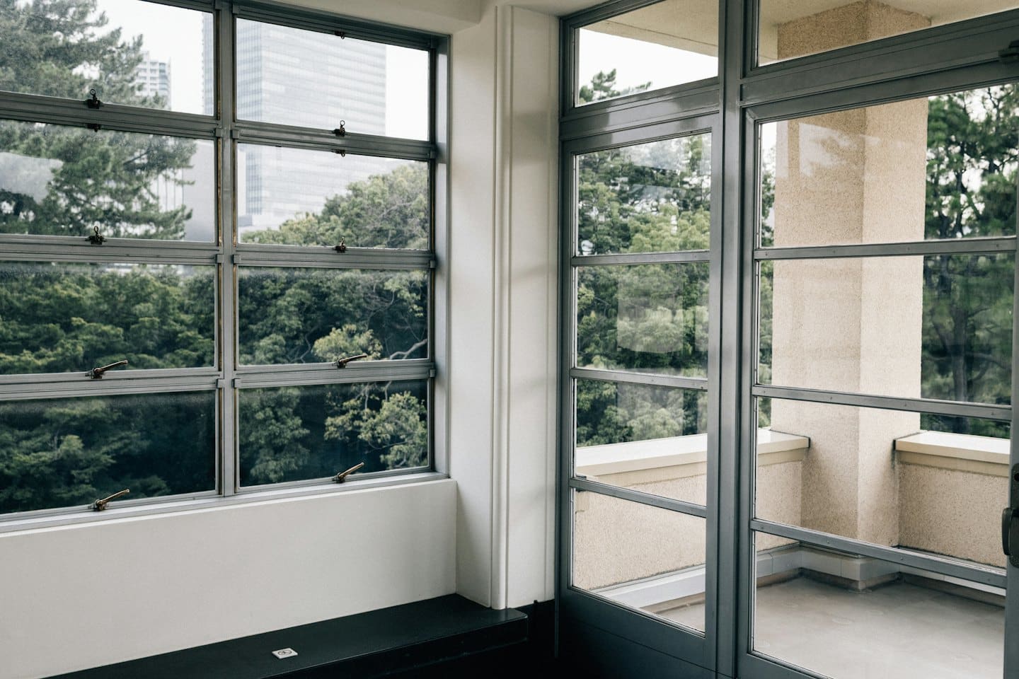 Green trees and a modern building seen through large windows.